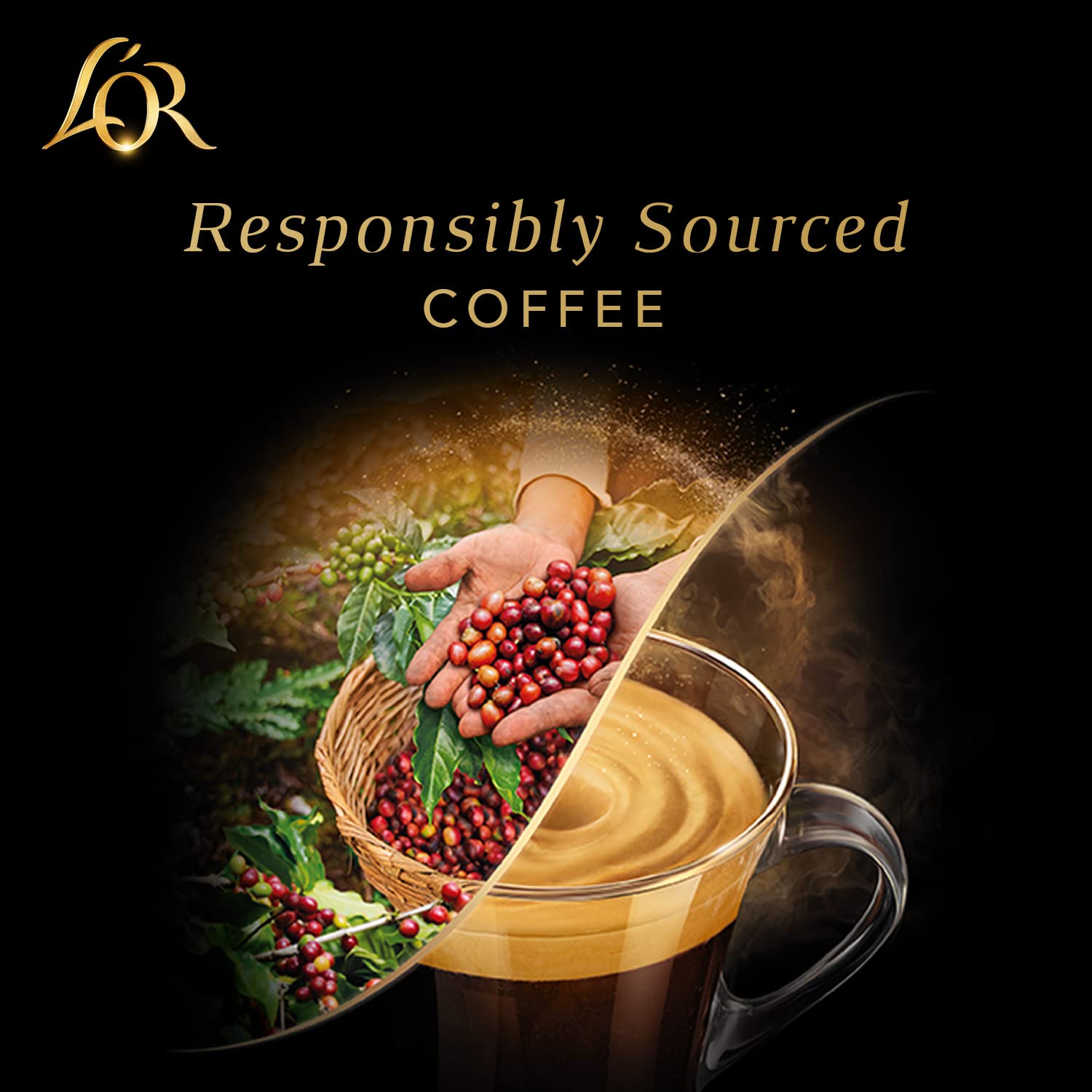 L'OR Espresso Capsules, 50 Count Ristretto, Single-Serve Aluminum Coffee Capsules Compatible with the L'OR BARISTA System & *Nespresso Original Machines, 50 Count (Pack of 1)